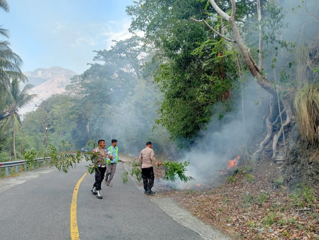 Kebakaran Lahan Melanda Desa Batu Hitam, Polisi Turun Tangan Cegah Api Meluas
