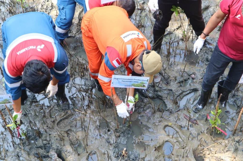 2.800 Mangrove Ditanam, PHI Perkuat Perlindungan Pesisir