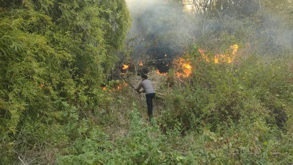 Pegunungan Tikupon Dilanda Karhutla