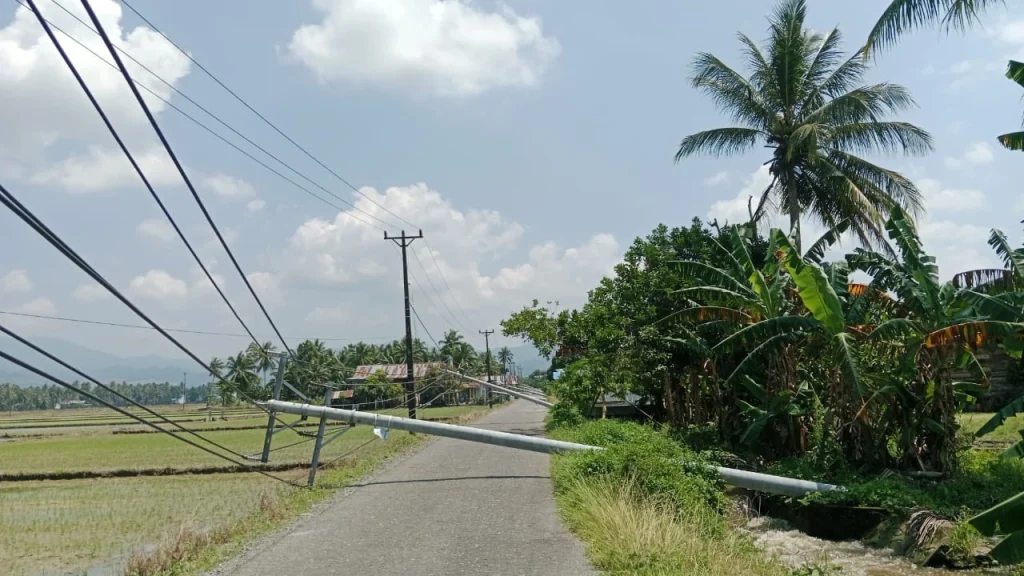 11 Tiang Listrik Tumbang di Kasimbar Akibat Luapan Irigasi
