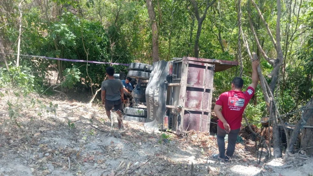 Lolos dari Maut! Sopir Selamat Setelah Truck Sawit Terjun ke Jurang