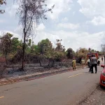 Sinergi Polri, TNI serta Pertamina DMF Berhasil Padamkan Karhutla di Toili Barat
